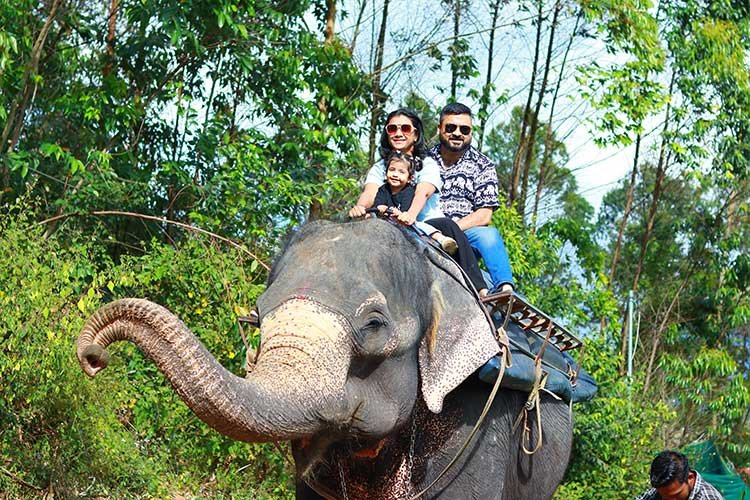 Carmelagiri Elephantpark