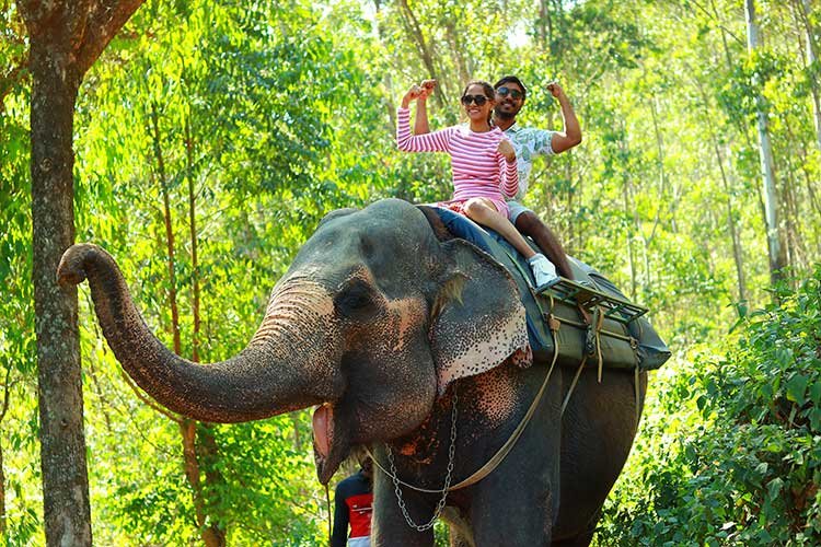 Carmelagiri Elephantpark