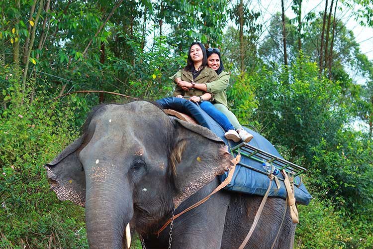 Carmelagiri Elephantpark