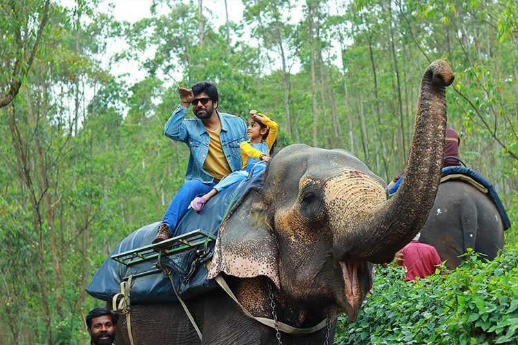 Carmelagiri Elephantpark