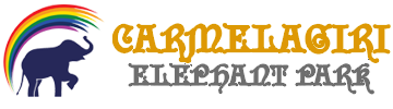 Carmelagiri Elephant Park Logo